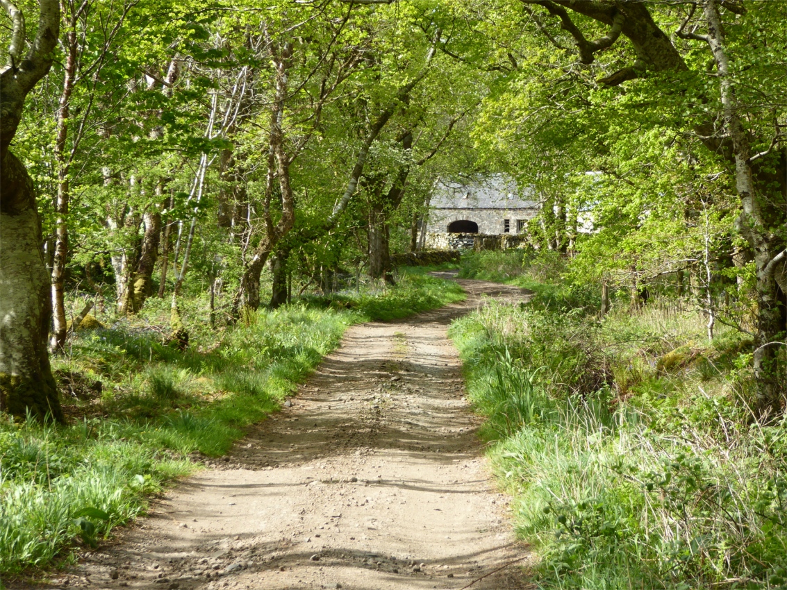 Eastern part of island of Ulva